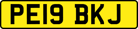 PE19BKJ