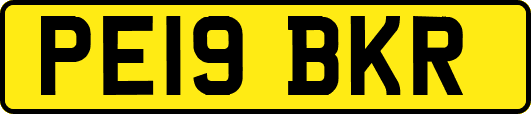 PE19BKR