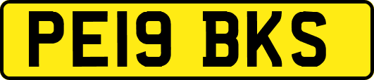 PE19BKS