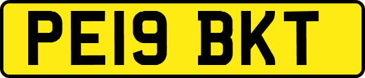 PE19BKT