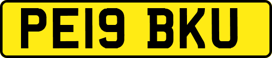 PE19BKU