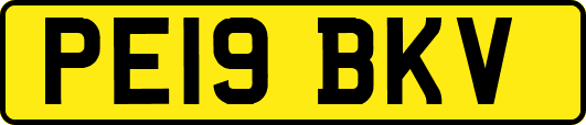 PE19BKV