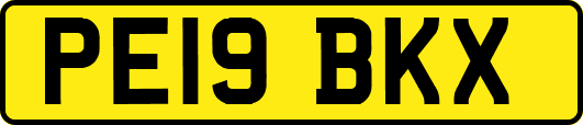 PE19BKX