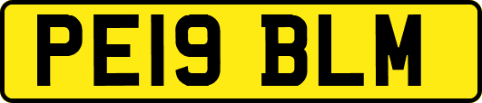 PE19BLM