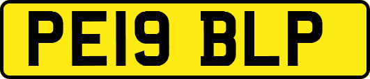 PE19BLP