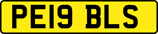 PE19BLS