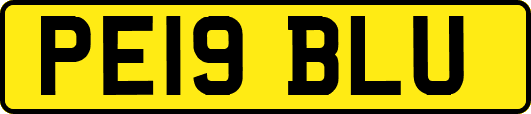 PE19BLU