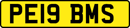 PE19BMS