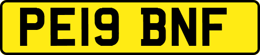 PE19BNF