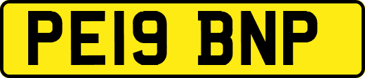 PE19BNP