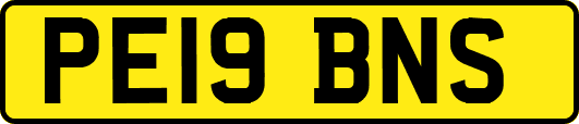 PE19BNS