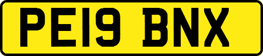 PE19BNX