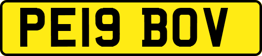 PE19BOV