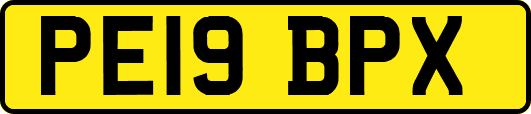 PE19BPX