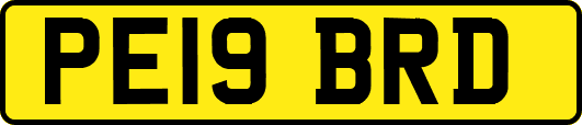 PE19BRD