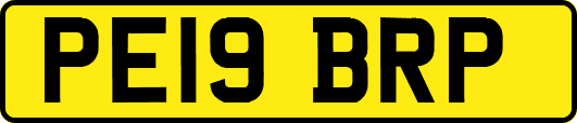 PE19BRP