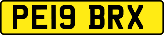 PE19BRX
