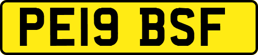PE19BSF