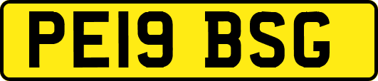 PE19BSG