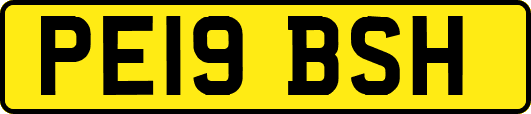 PE19BSH