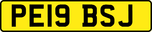 PE19BSJ