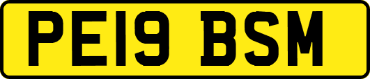 PE19BSM