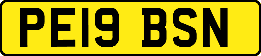 PE19BSN