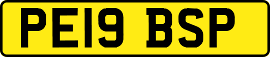 PE19BSP