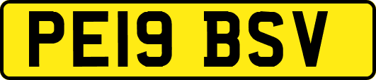 PE19BSV