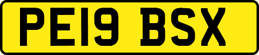 PE19BSX