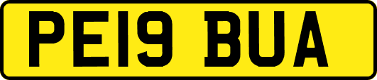 PE19BUA