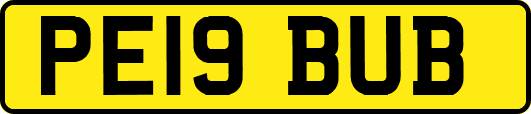 PE19BUB