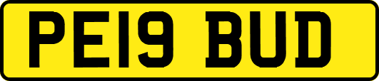 PE19BUD