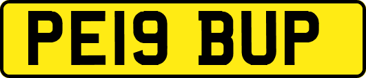 PE19BUP