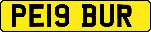 PE19BUR