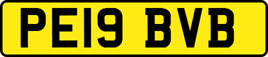 PE19BVB
