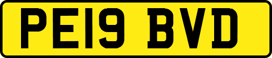 PE19BVD