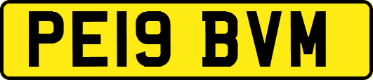 PE19BVM