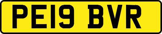 PE19BVR