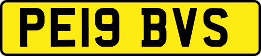 PE19BVS