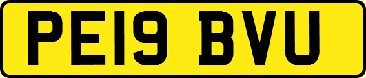 PE19BVU