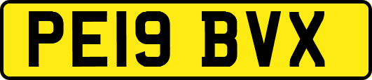 PE19BVX