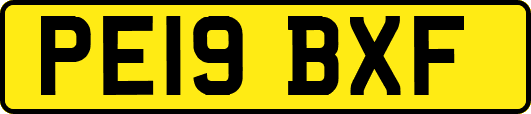 PE19BXF