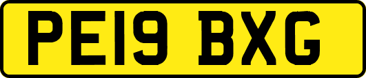 PE19BXG