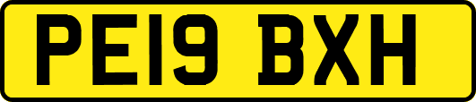 PE19BXH