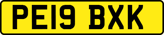 PE19BXK