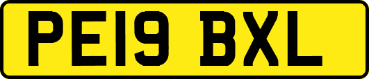 PE19BXL