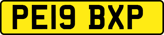 PE19BXP