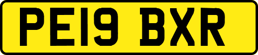 PE19BXR