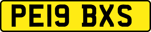 PE19BXS